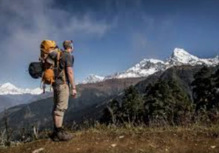 Доходы от экотуризма в заповедниках достигли 37,7 миллионов сомов