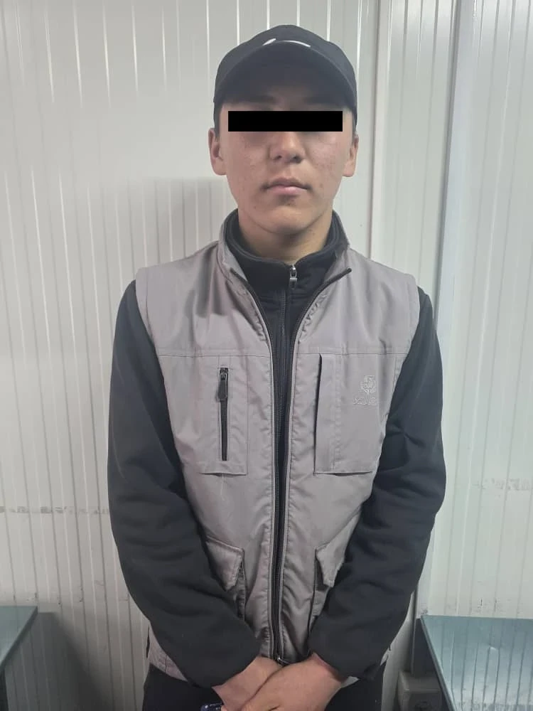 Кыргыз-тажик чек арасында мыйзамсыз мал өткөрүү токтотулду