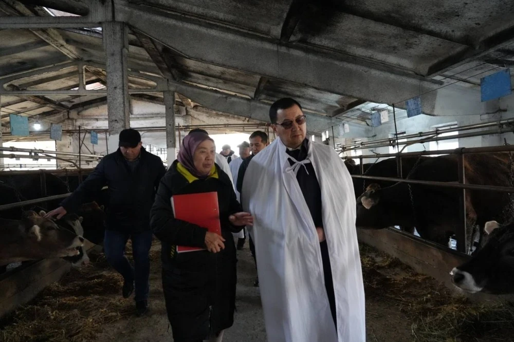 Farmers in Kyrgyzstan Report Increase in Diseases Among Livestock