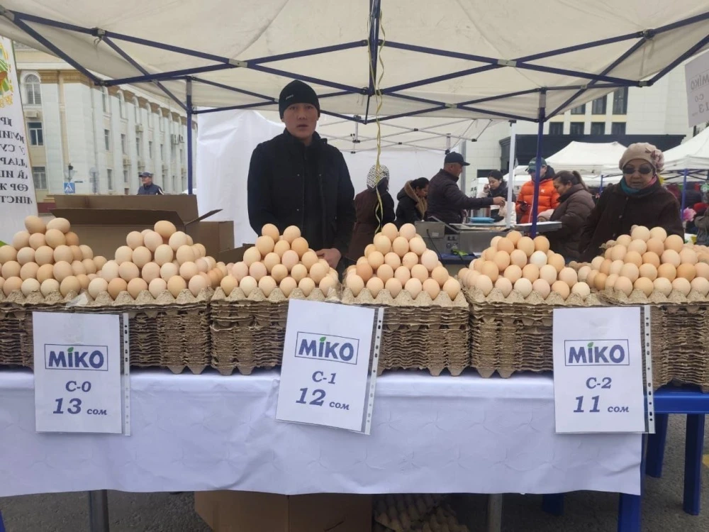 Бишкектеги ярмаркада шаардыктар арзандатылган баада жумуртка сатып алышты