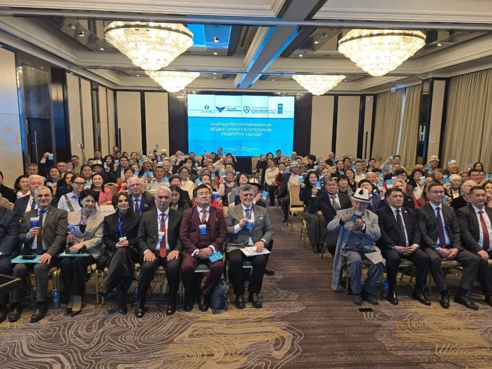 Кыргызстанда медиаторлор палатасы түзүлдү