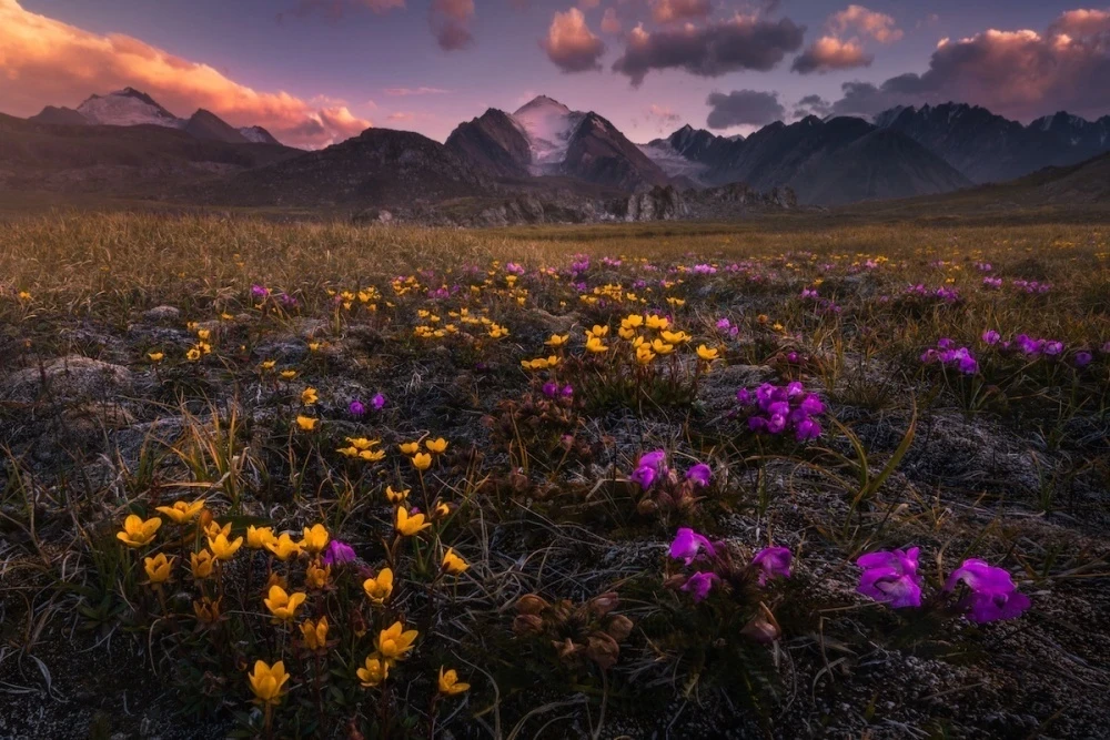 Кыргызстан "чоң нөлдөтүүгө" коопсуздук боюнча даярбы?