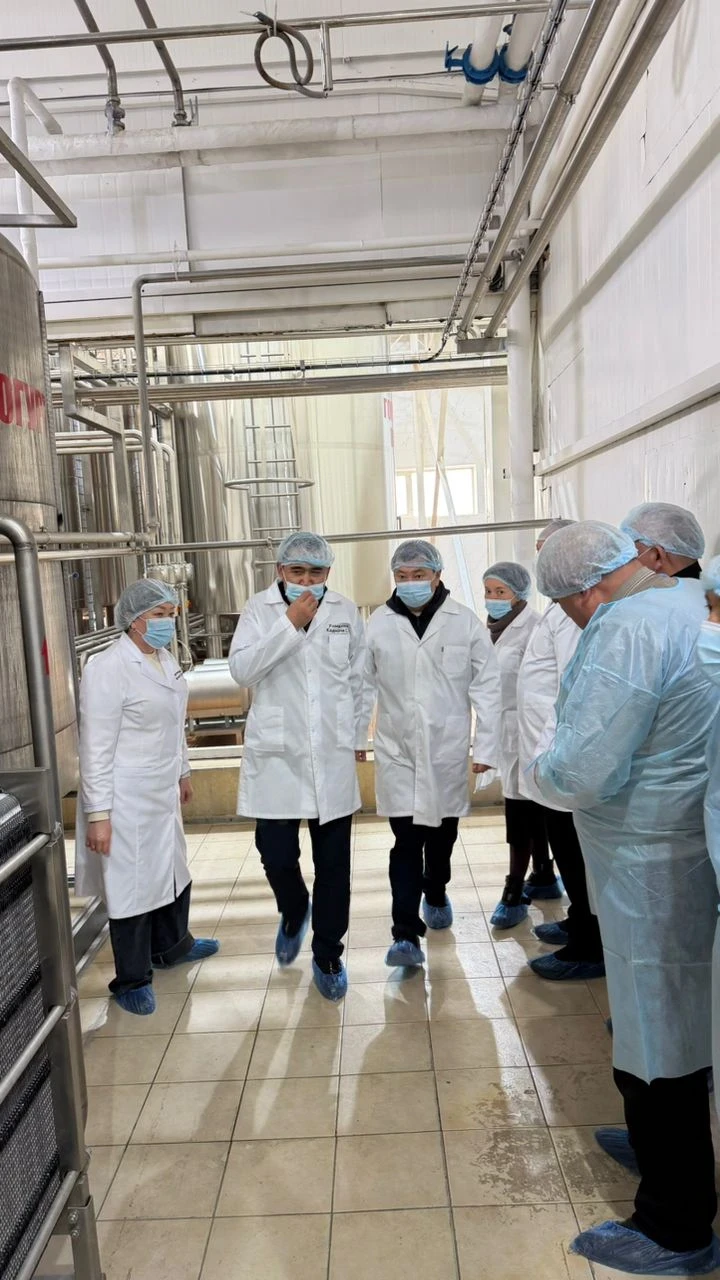 The Head of the Ministry of Agriculture of the Kyrgyz Republic Familiarized Himself with the Operations of Two Dairy Plants