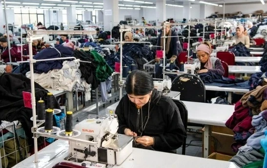 Кыргызстандын жеңил өнөр жайына Россияга экспорттун жаңы шарттары түшүндүрүлдү