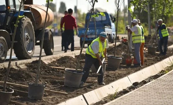 In Kyrgyzstan, 9 million seedlings are planned to be planted in 2026.