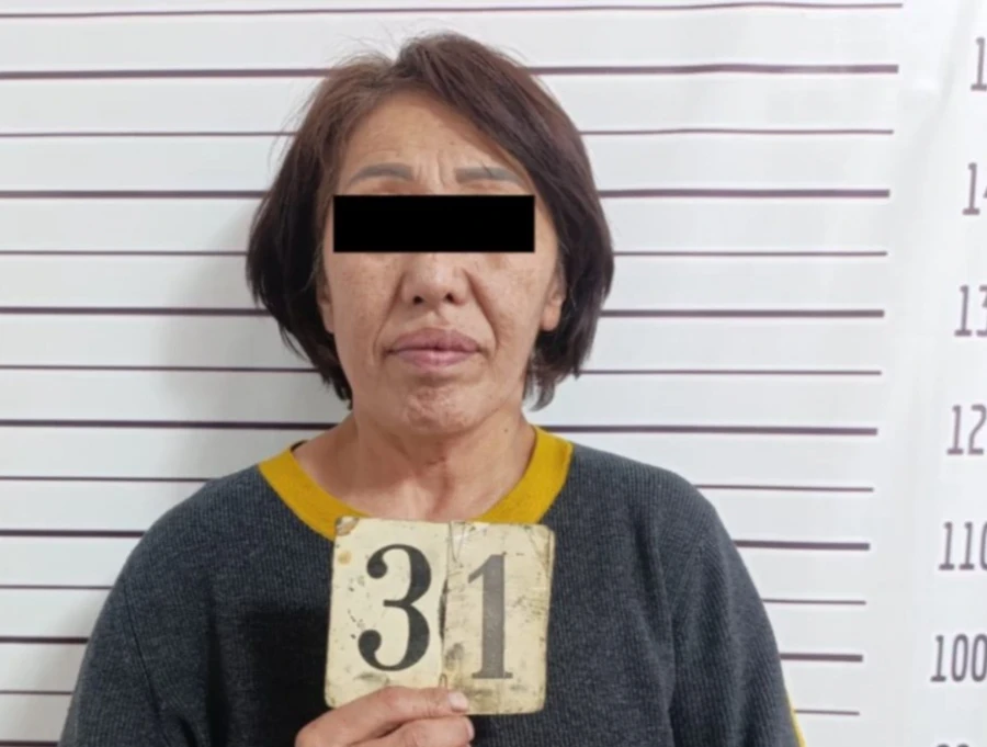 In Tokmak, a woman killed her common-law husband after a verbal argument