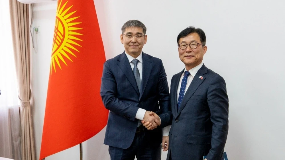 Kyrgyzstan and South Korea Discussed Cooperation in the Field of Medicine