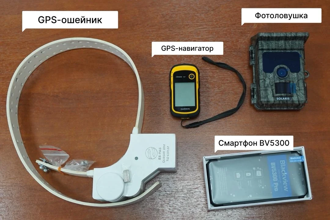 Кыргызстанда жапайы табиятты спутниктик технологиялардын жардамы менен көзөмөлдөшөт