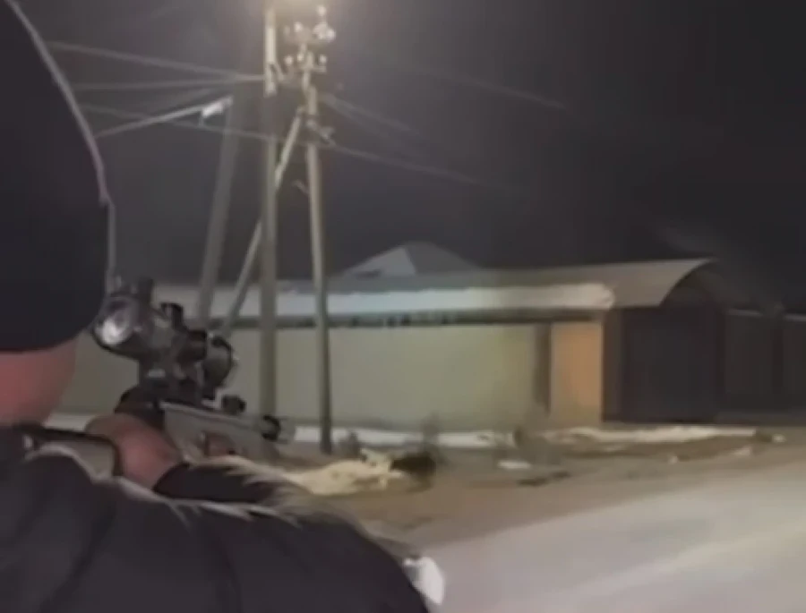 Чүй облусунда көңүл ачуу үчүн жаныбарларга ок аткан жаныбарларды кармашты