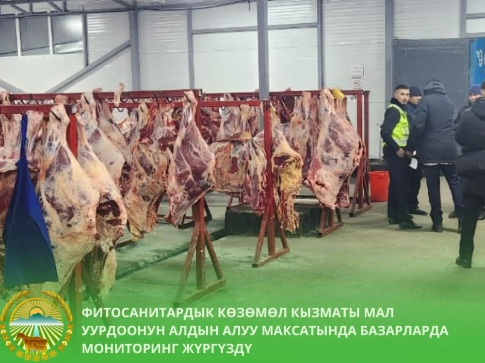 Illegal Import of Meat and Livestock Discovered in Bishkek