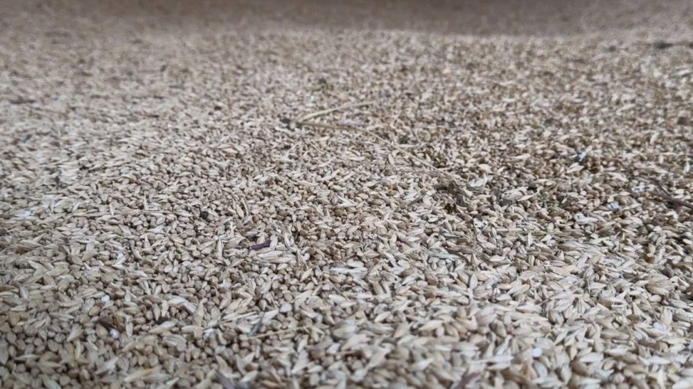 Ak-Suu Farmers Received Subsidized Fuel and Tons of Seeds for Sowing