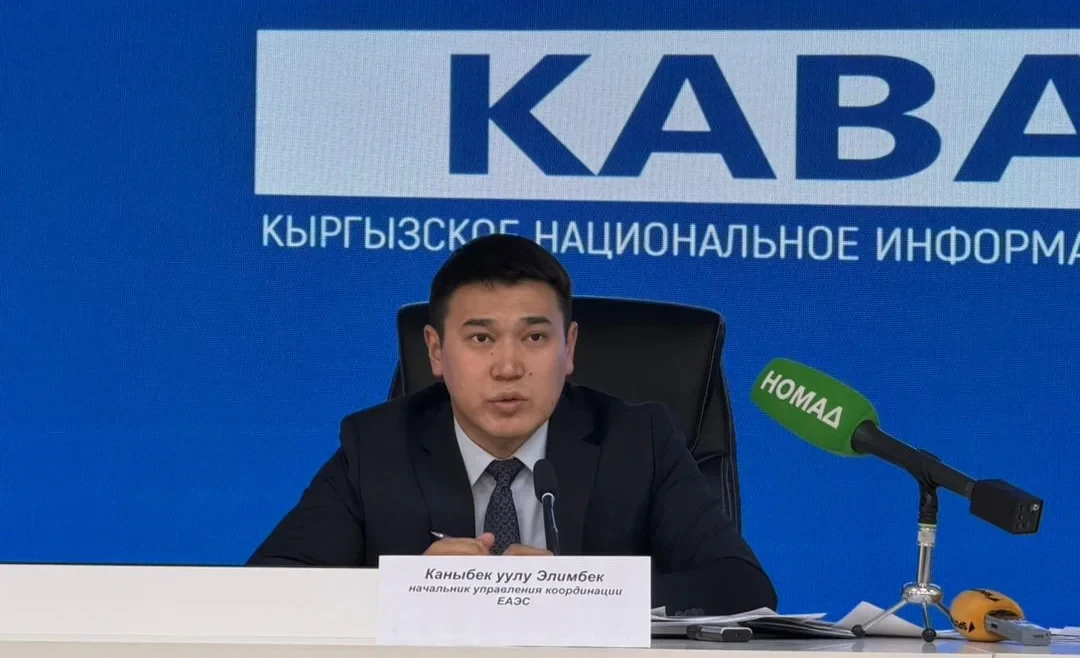 EEC supported Kyrgyz Republic's initiatives on customs benefits and equipment certification
