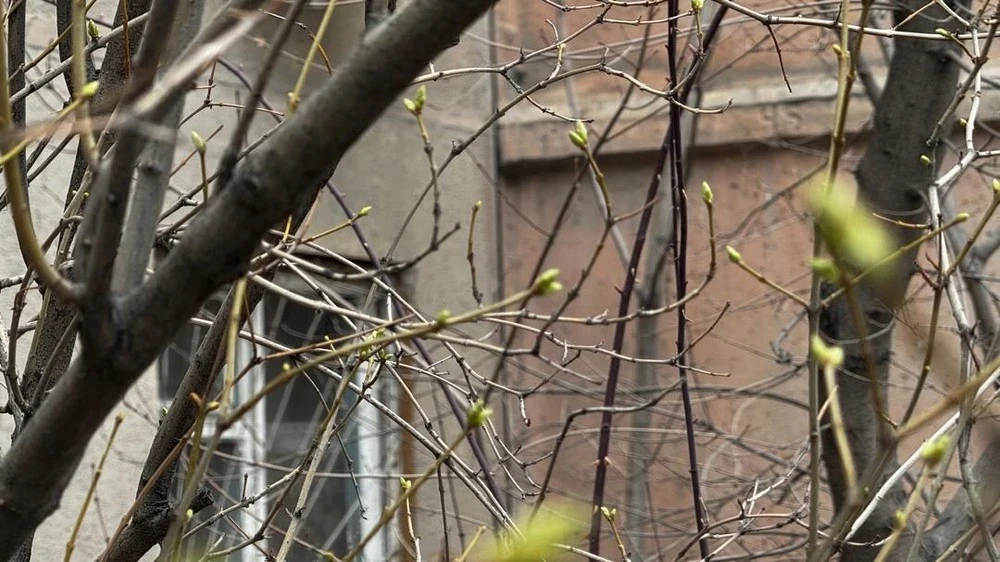 Sunny weather without precipitation is expected for Kazakhstanis in the coming days