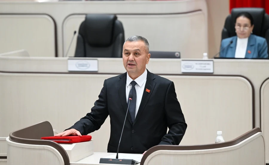 Депутат: Жаныбарлардын оорулары өлкөдө актуалдуу бойдон калууда