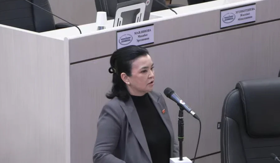 Швейную фабрику «Cool Bros» анын ээси — депутаттан тартып алышты