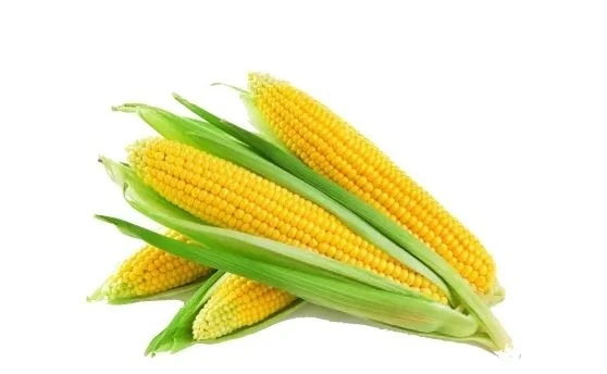 Жайыл районунун тургуну "кукуруз" сатып алып, 612 миң сомдон айрылды