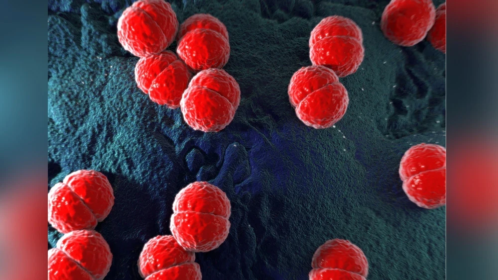 Ховд менингококк инфекциясынын жайылышына байланыштуу чектөөлөрдү киргизди
