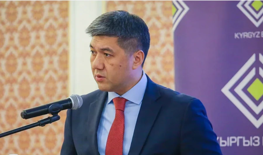 Саясатчы Улуттук банктын башчысынын кызматтан кетиши менен эмне байланыштуу болушу мүмкүн экенин атады