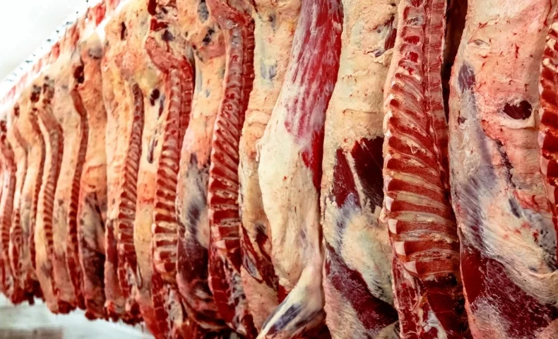 Бишкек жана Чүй облусунун тургундары үчүн күн сайын канча мал союлат, МСХдан билдиришти