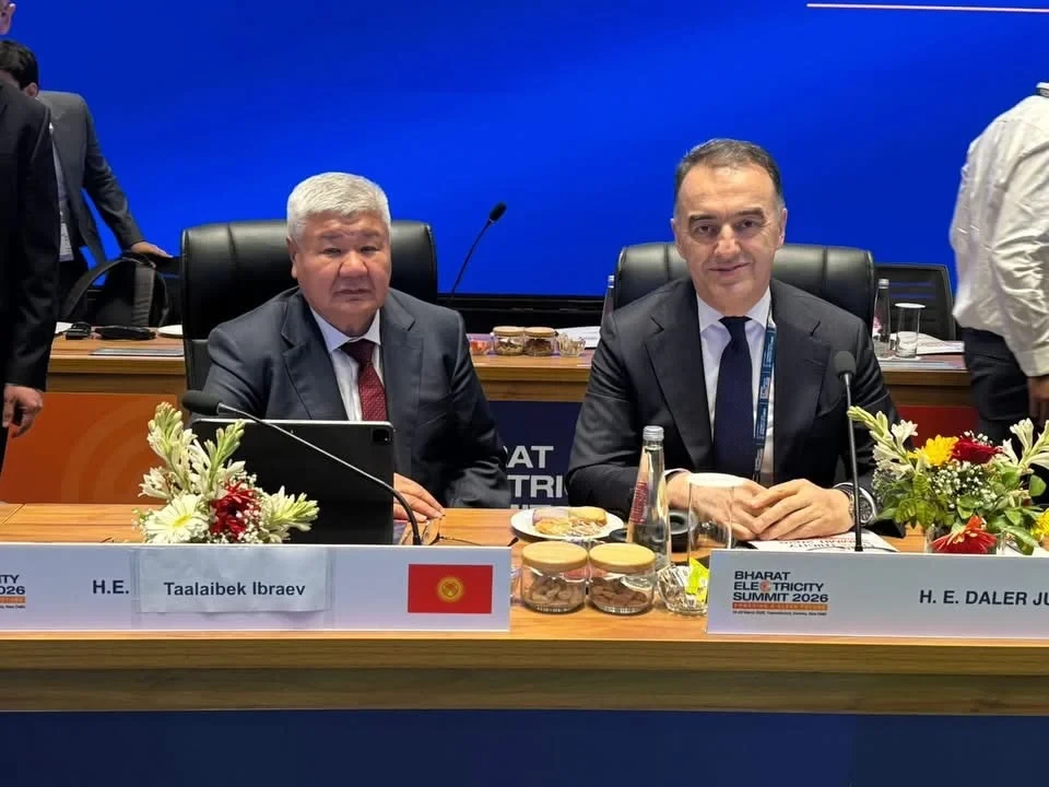 Taalaybek Ibraev Discussed Energy Development at the Summit in India
