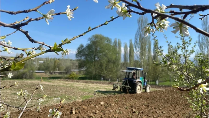 The Philosophy of Nowruz. When it's time to forgive, change, and move forward