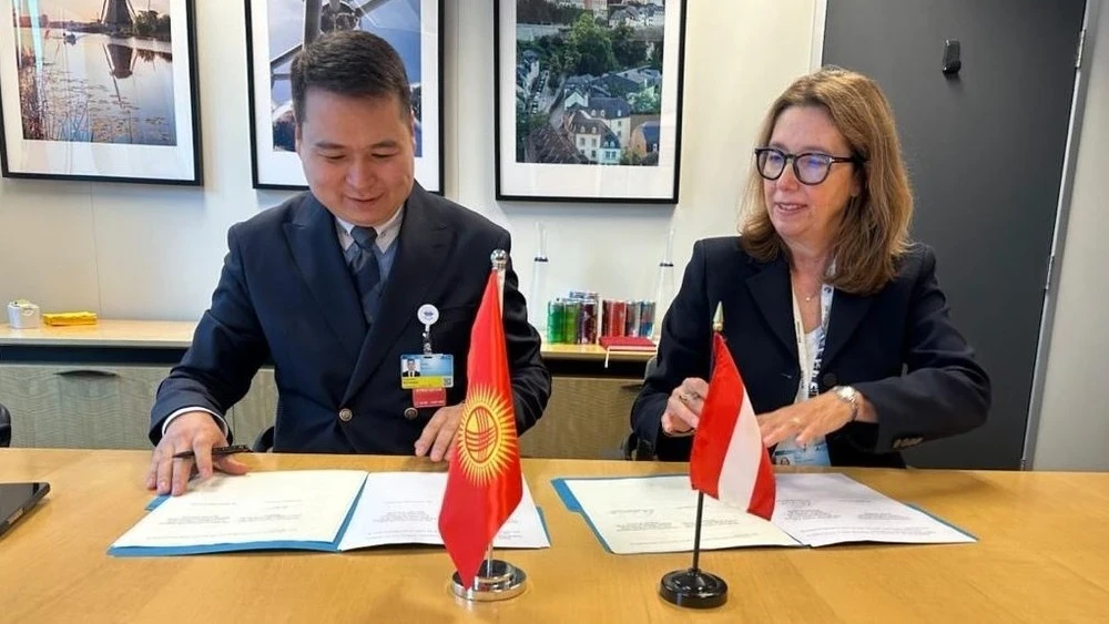 Кыргызстан и Австрия намерены запустить регулярные авиарейсы
