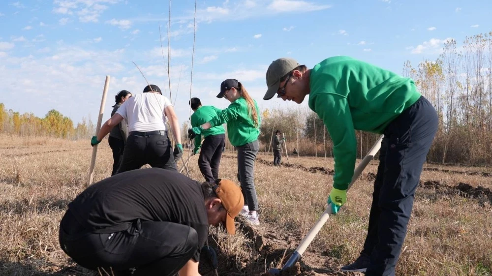 В жилмассивах Бишкека стартует масштабная кампания по высадке деревьев