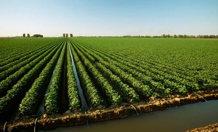 Президент: 3 млрд сомов направлены на модернизацию ирригации в Нарыне