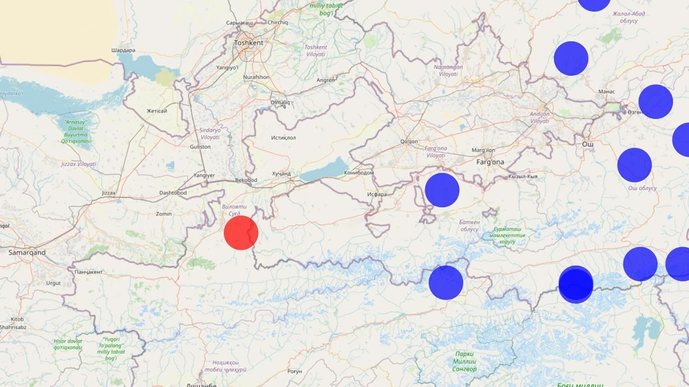 На кыргызско-таджикской границе произошло землетрясение магнитудой 3,5