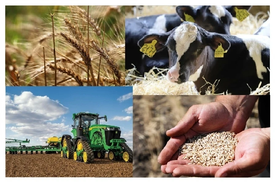 В Кыргызстане запустили горячую линию по сельхозпереписи