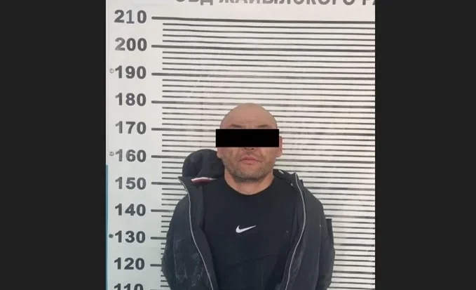 В Чуйской области раскрыто убийство: подозреваемый задержан