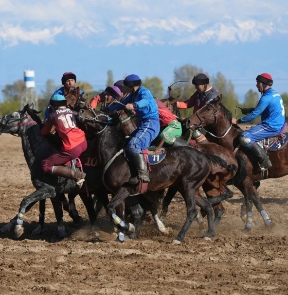 В Оше определился победитель турнира по кок-борү