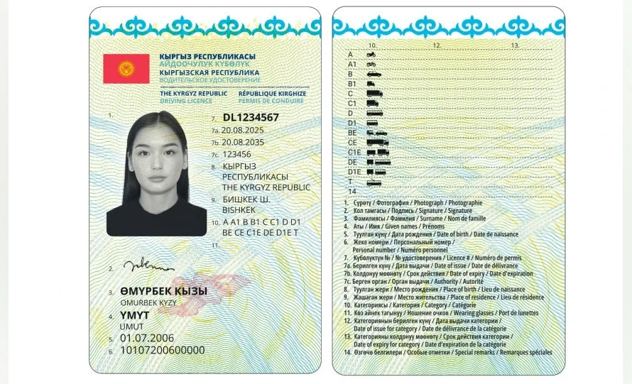 Водительские права в Кыргызстане можно будет получить за три часа
