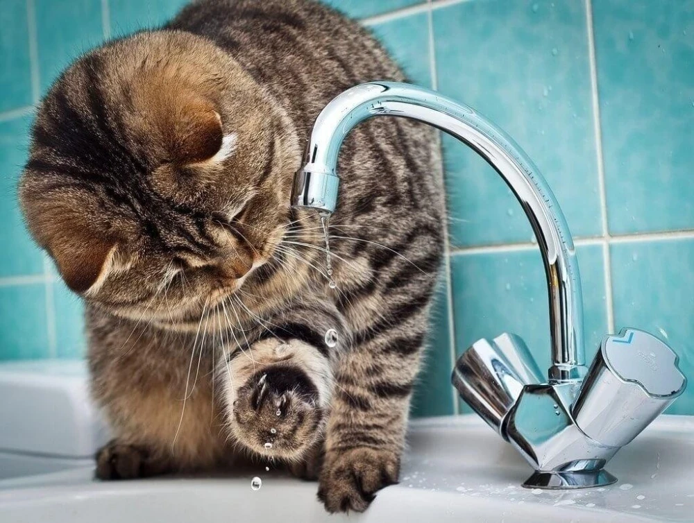 26 марта в некоторых районах Бишкека отключат воду