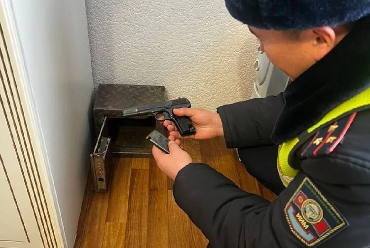 Операция «Арсенал»: в Аламединском районе изъяли 58 единиц оружия