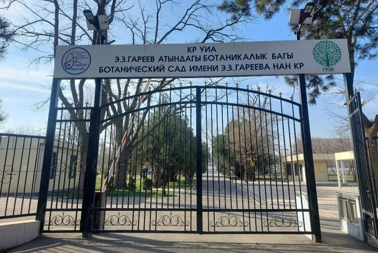 Уничтожение или возрождение? Что на самом деле происходит за забором Ботсада