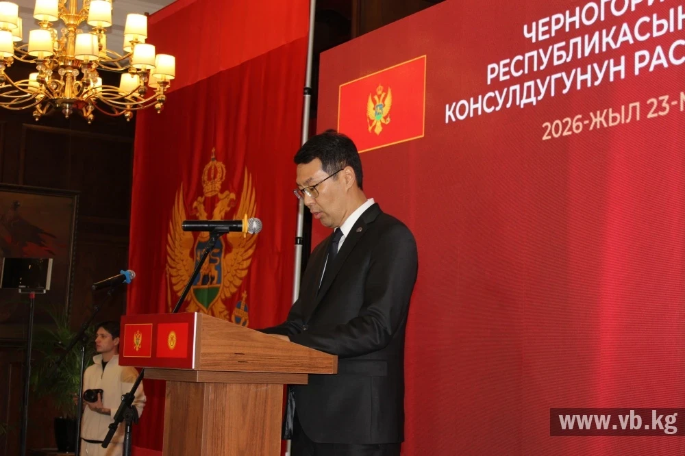 "Черногория и Кыргызстан демонстрируют обоюдное стремление к сближению"