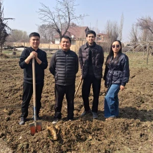 ОшГУ запускает производство первых в Кыргызстане БАДов из артишока