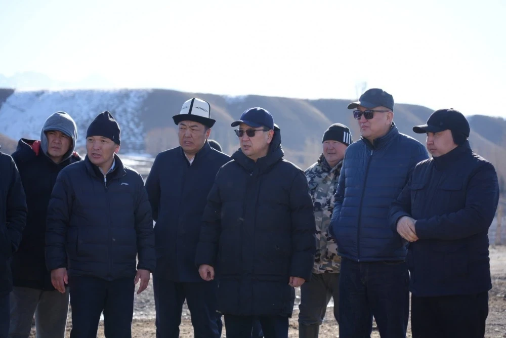 Глава Минсельхоза поручил изолировать животных в селе Эмгекчил