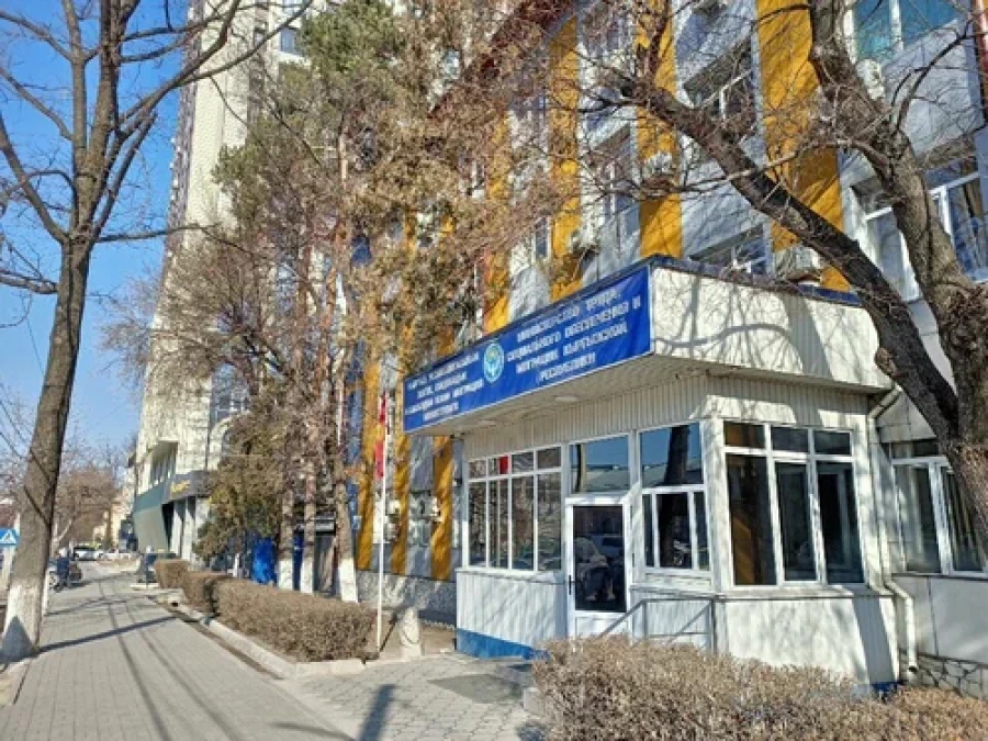 Кыргызстанке в России помогли получить 2 млн рублей по потере кормильца