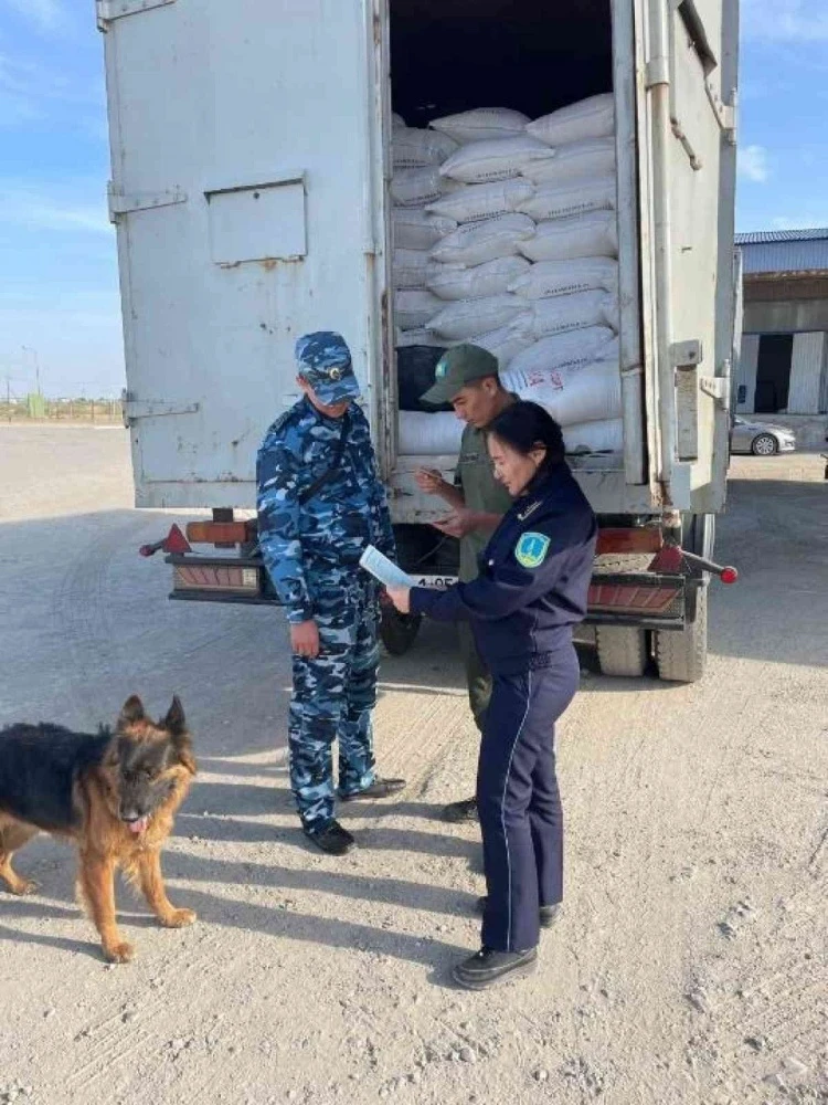 КНБ раскрыл схему вывоза артемии из Казахстана по документам Кыргызстана