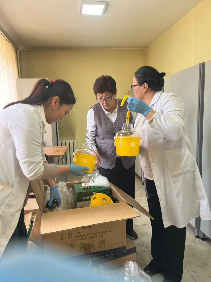 Минсельхоз внедряет феромонные ловушки для эффективного мониторинга карантинных вредителей