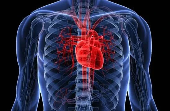 В Кыргызстане болезни сердца и сосудов составляют 52,3% всех случаев смертности