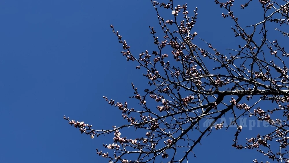 Up to +30 degrees expected in southern Kazakhstan this weekend