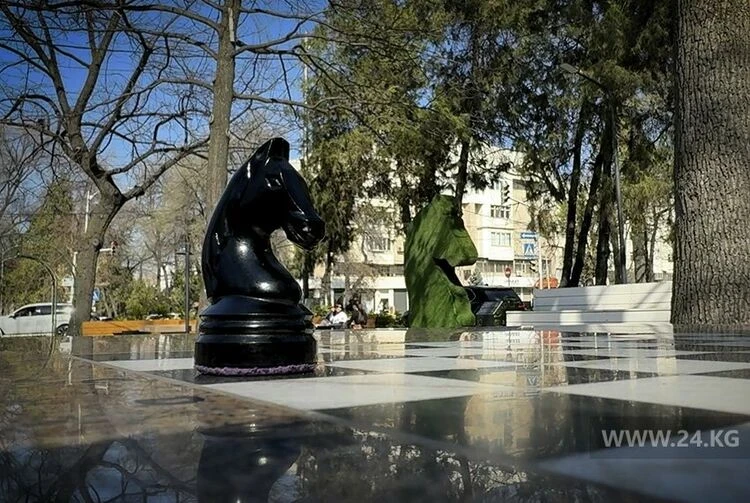Smart Leisure in Bishkek: How Chess Unites Generations on Erkindik Boulevard