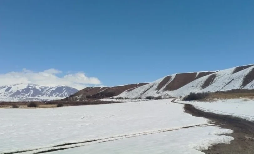 In the Jumgal District, a 2-hectare plot of land has been returned to the state.