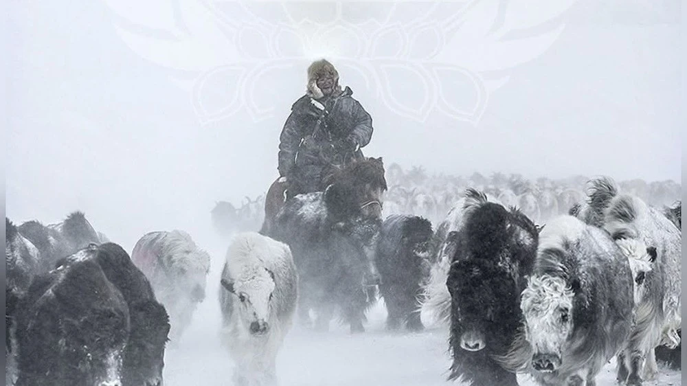 Snow and Blizzards Expected in the Northern Part of the Country