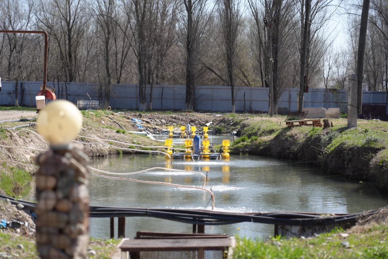 The Ministry of Agriculture instructed to create a brand for Kyrgyz trout and expand exports