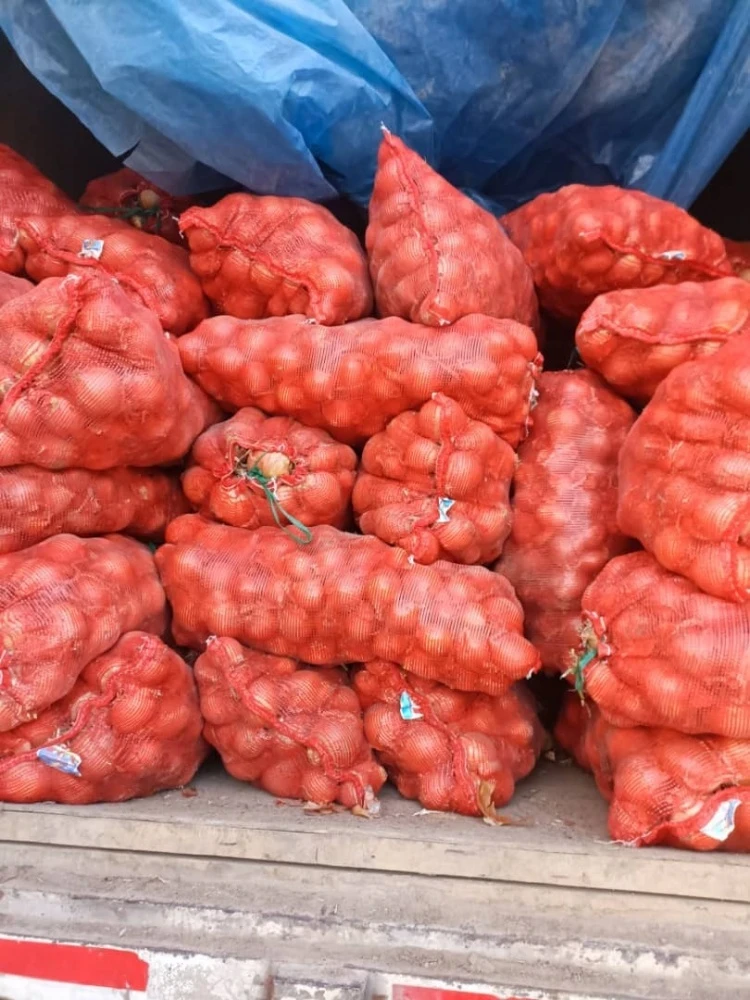 A large batch of onions was returned from Kyrgyzstan to Kazakhstan
