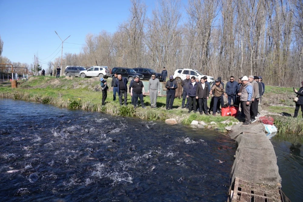 КРда балыкчылар салыктарды төмөндөтүүнү жана экспортто тоскоолдуктарды жоюуну талап кылышууда